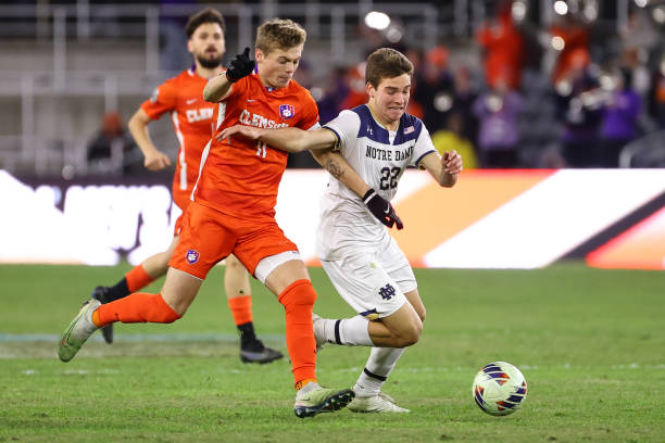 这份美妙的 这份美妙的